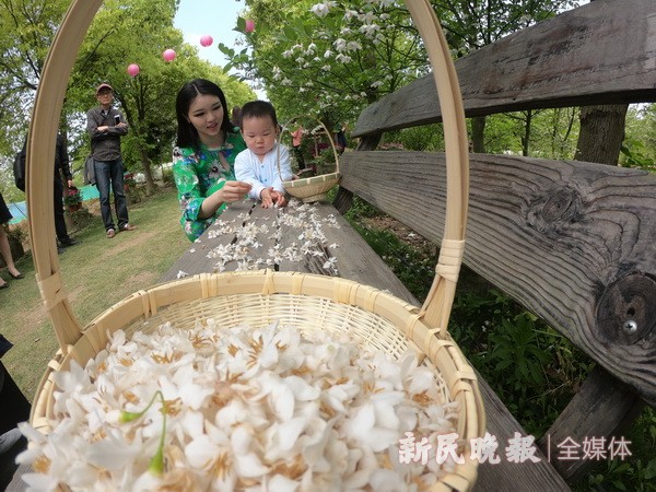 中國夢絲路情 茉莉花開文化節(jié)開幕