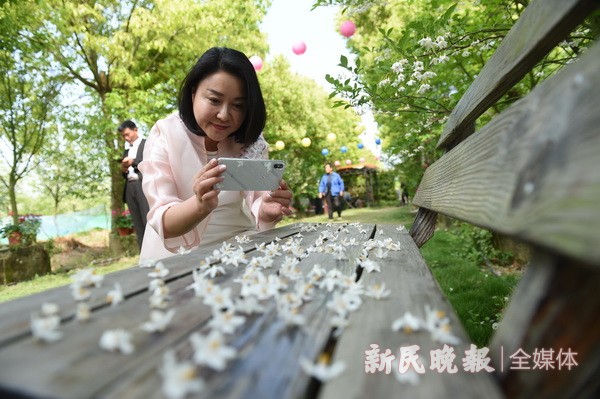 中國夢絲路情 茉莉花開文化節(jié)開幕